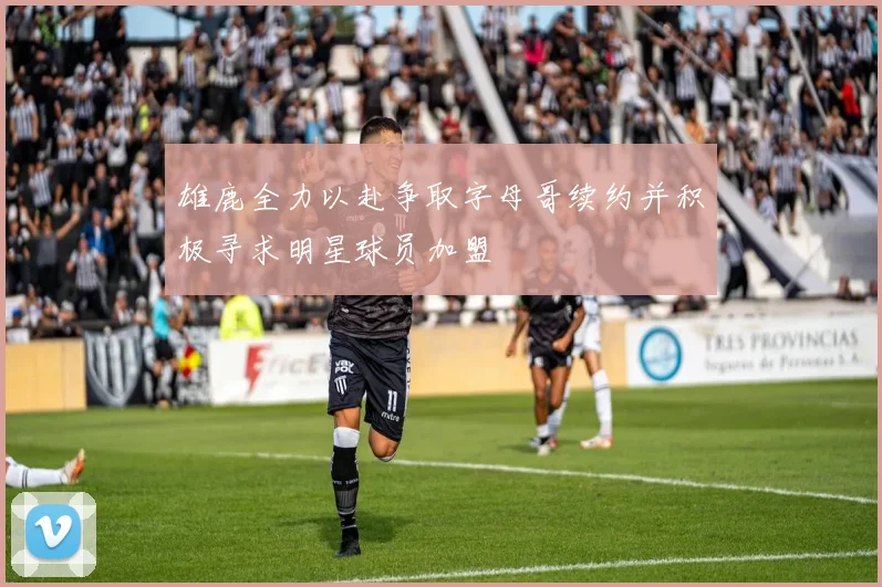 雄鹿全力以赴争取字母哥续约并积极寻求明星球员加盟