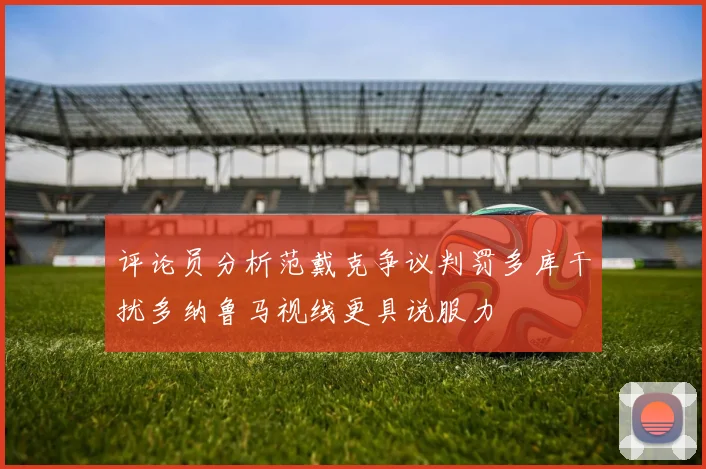 评论员分析范戴克争议判罚多库干扰多纳鲁马视线更具说服力