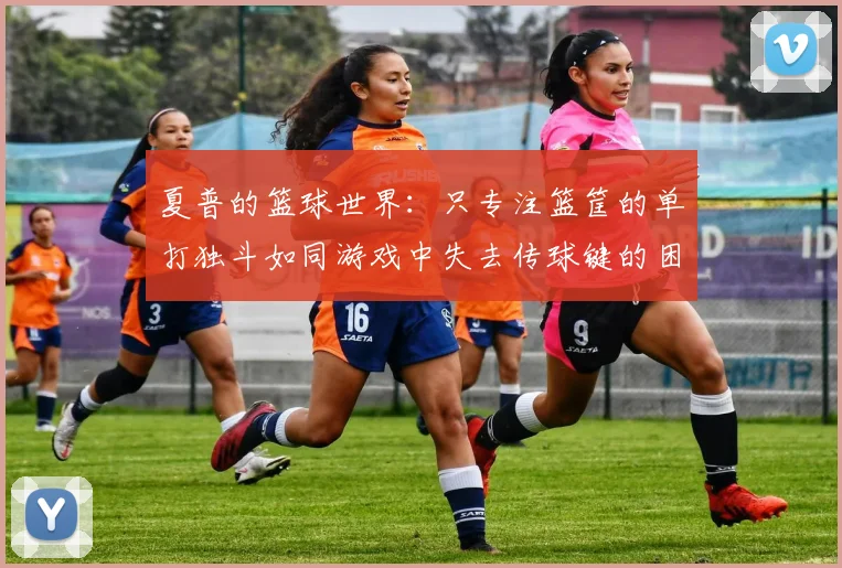 夏普的篮球世界：只专注篮筐的单打独斗如同游戏中失去传球键的困境