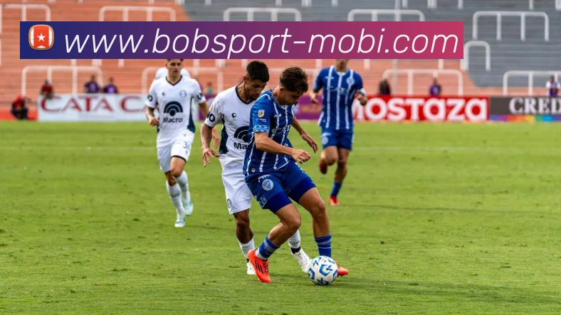 BOB体育APP 封面图